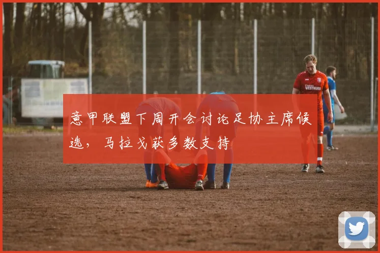 意甲联盟下周开会讨论足协主席候选，马拉戈获多数支持