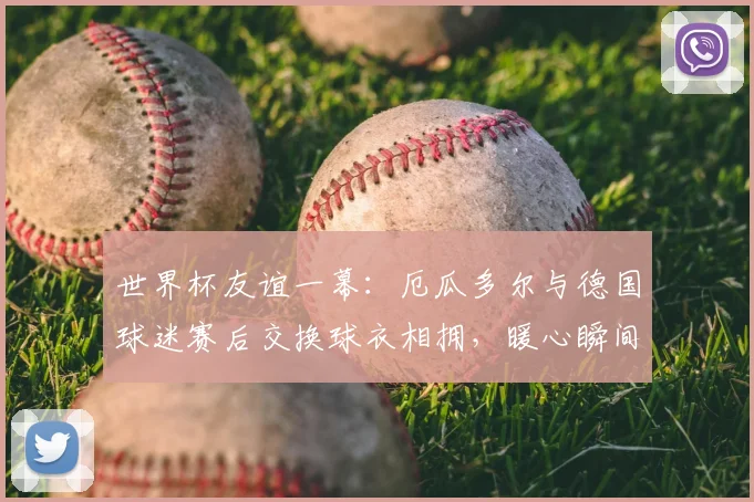 世界杯友谊一幕：厄瓜多尔与德国球迷赛后交换球衣相拥，暖心瞬间诠释足球魅力